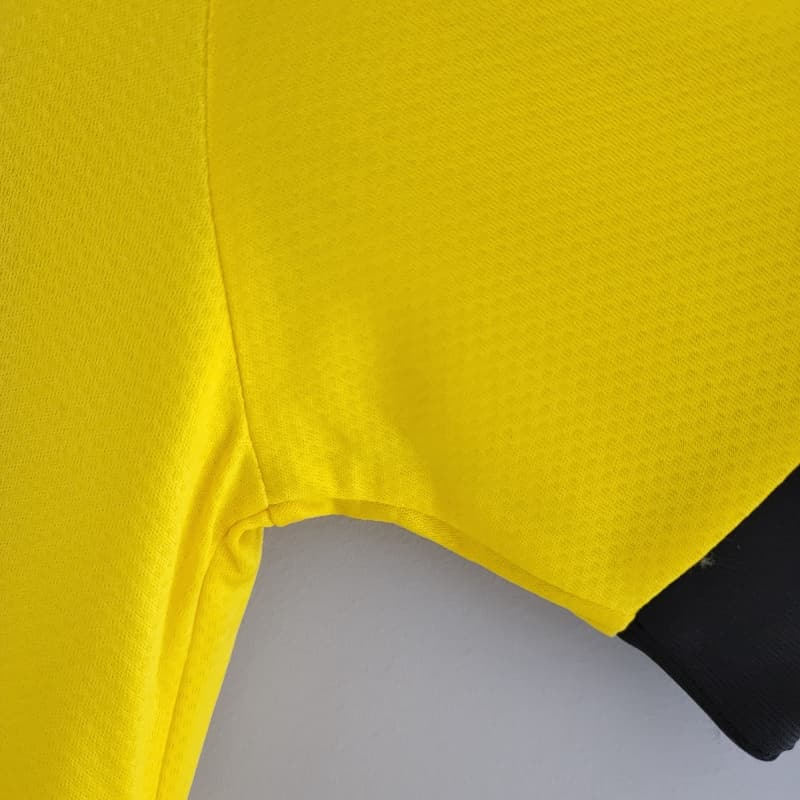 Borussia Dortmund 2022-23