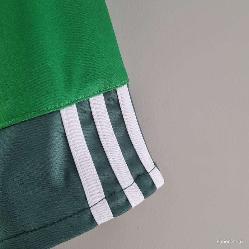 Camiseta Retro Palmeiras 2010-11 - Fútbol Club Vintage