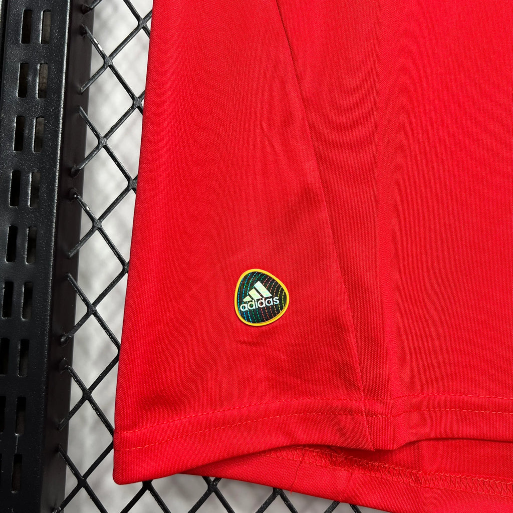 Camiseta Selección España Retro 2010 Local