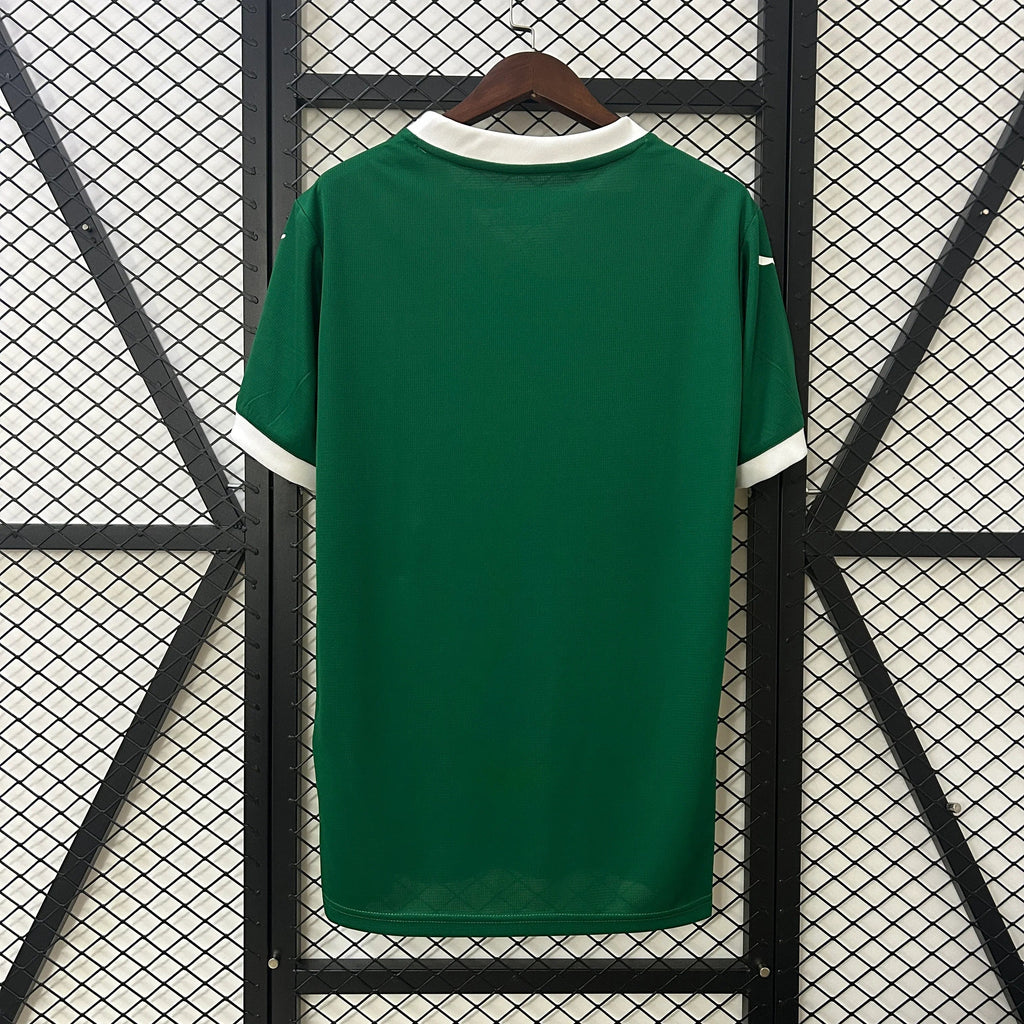 Camiseta Palmeiras 2025-26 - Fútbol Club Vintage