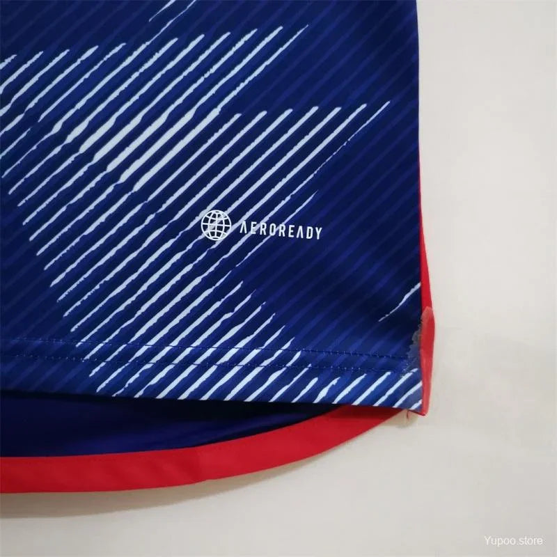Japón Retro 2022 - Fútbol Club Vintage